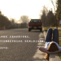阳光灿烂的猪图片